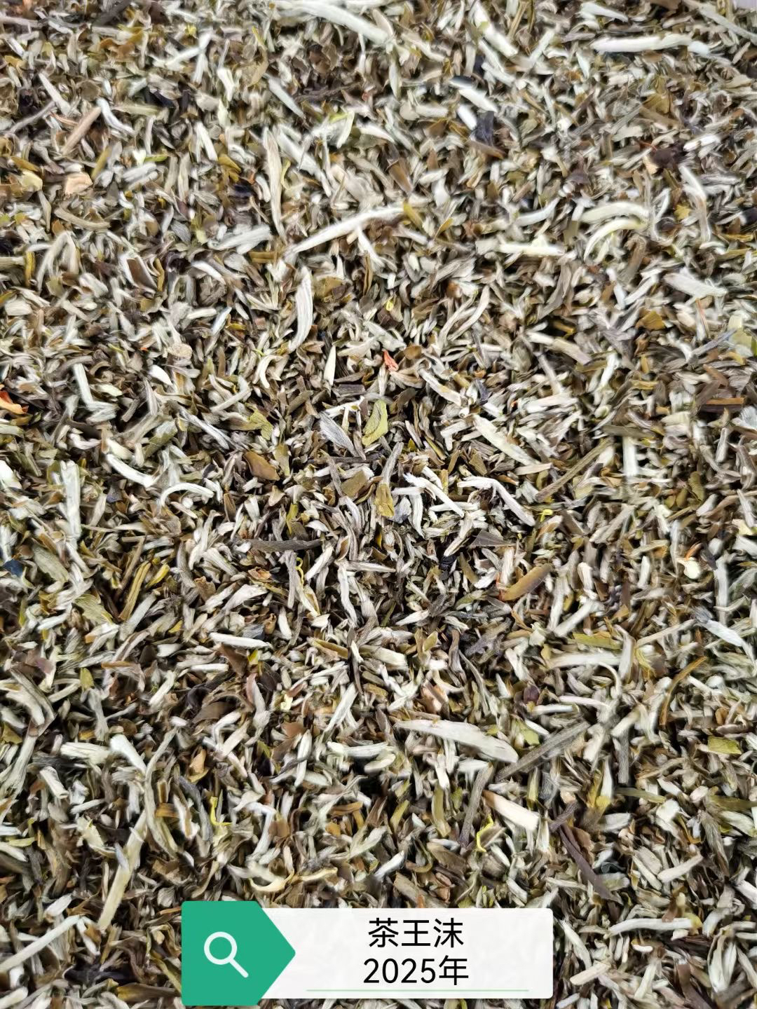 2025茉莉花（茶王高碎）