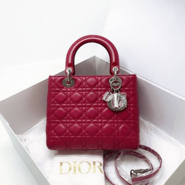 95新/迪奥/包包/[251228XZWC]/C219559588