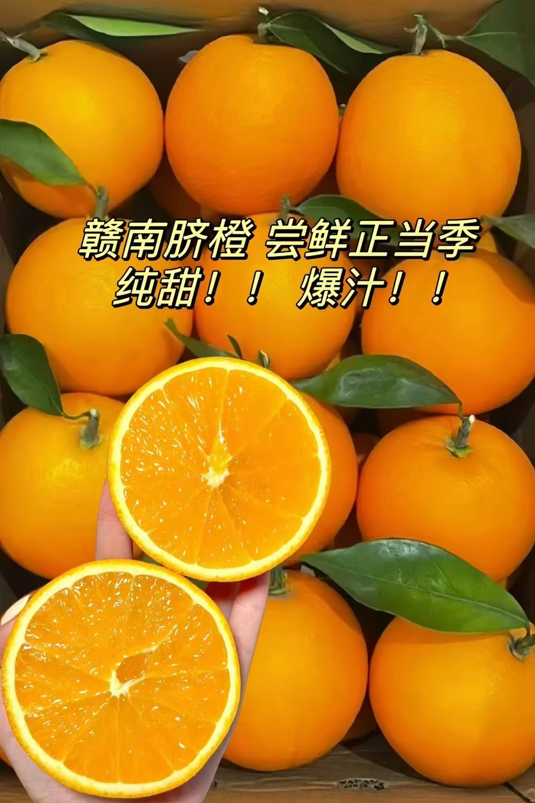 赣南脐橙果园直销A