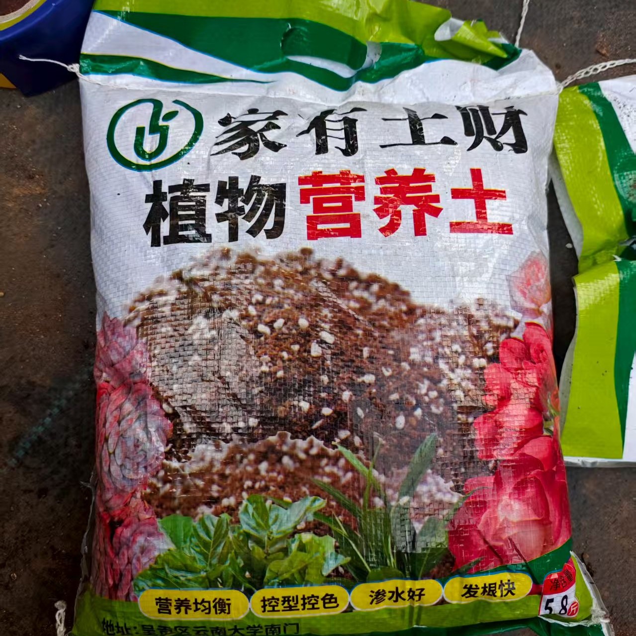 5斤装多肉薄化妆专用营养土