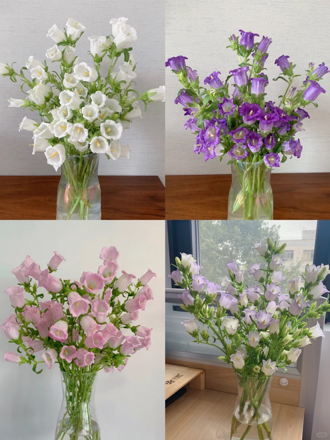 《如意》风铃 三单京东 鲜花需要醒花摘叶 揽收无法退款