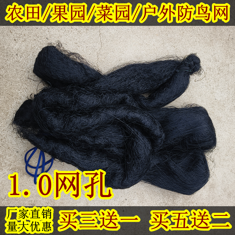 农田防鸟网果园专用网菜园神器网稻谷果树鱼塘养殖大棚户外防护网