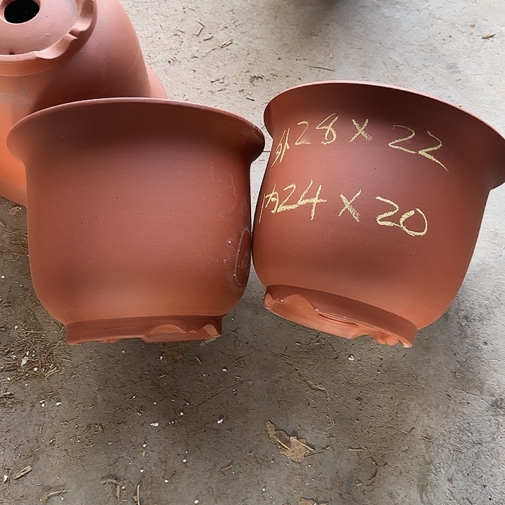 28×22定制款京中两只