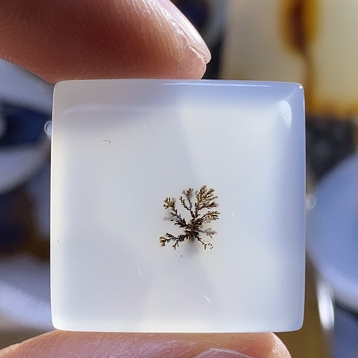 未镶嵌颈饰玛瑙/玉髓胖*鱼