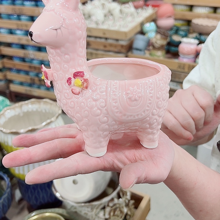 有孔，凑单福利满10元发货陶瓷多肉花盆！