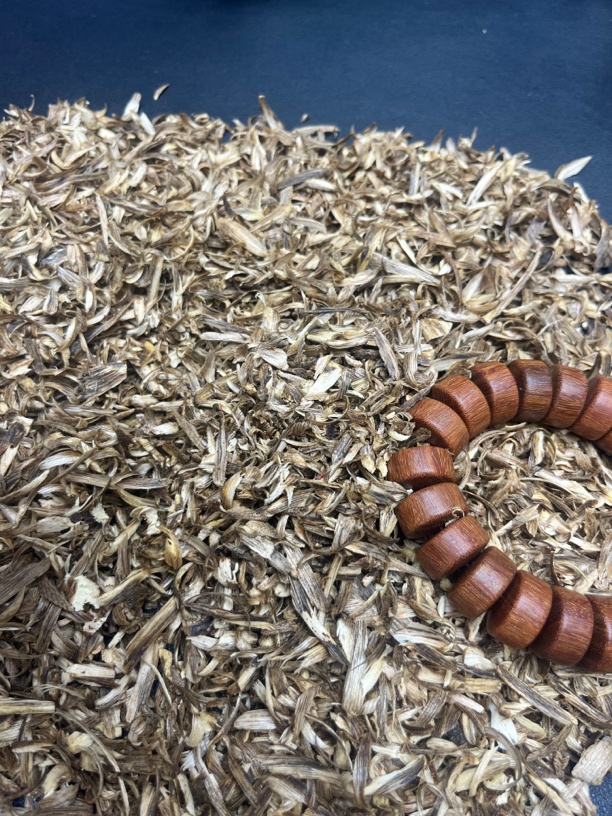 沉香【小茜甄选】R173沉香木作文创