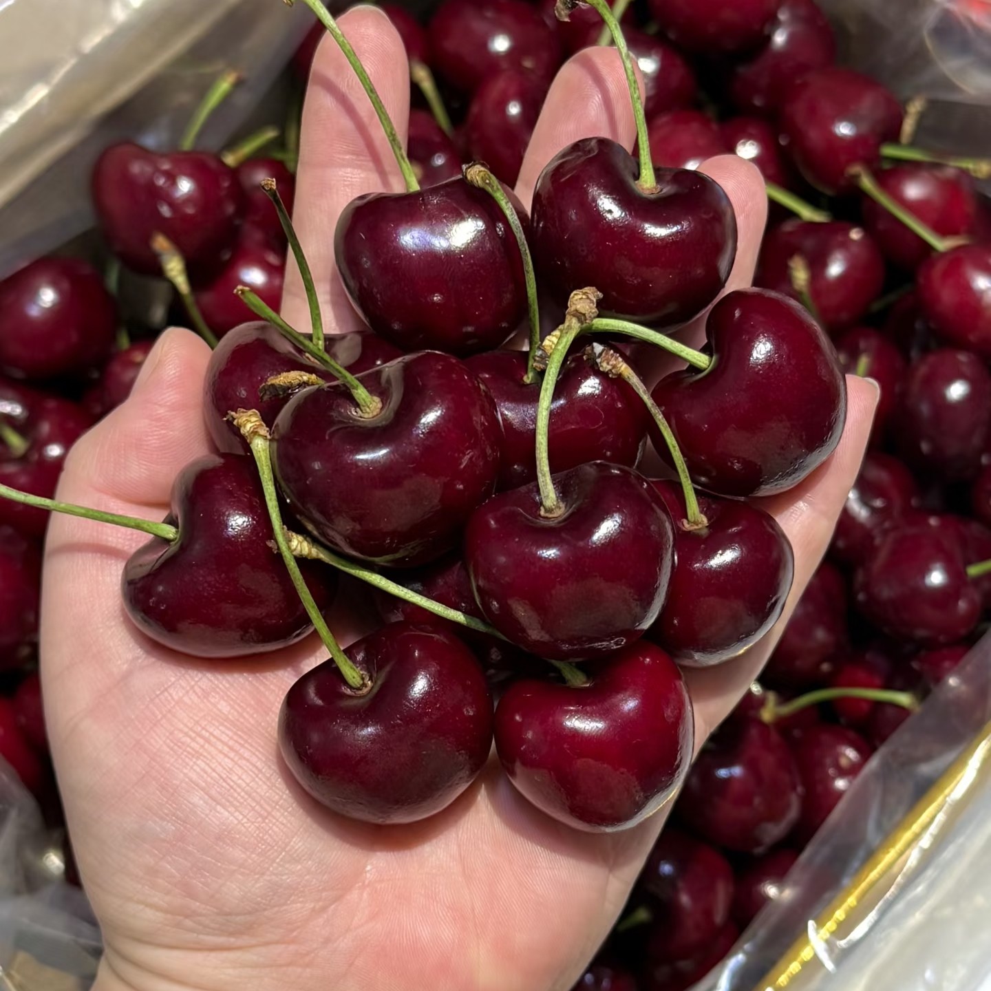 2JD车厘子拉宾斯1整箱2.5kg海运智利