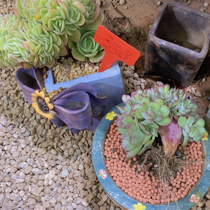 你不去上班就好的