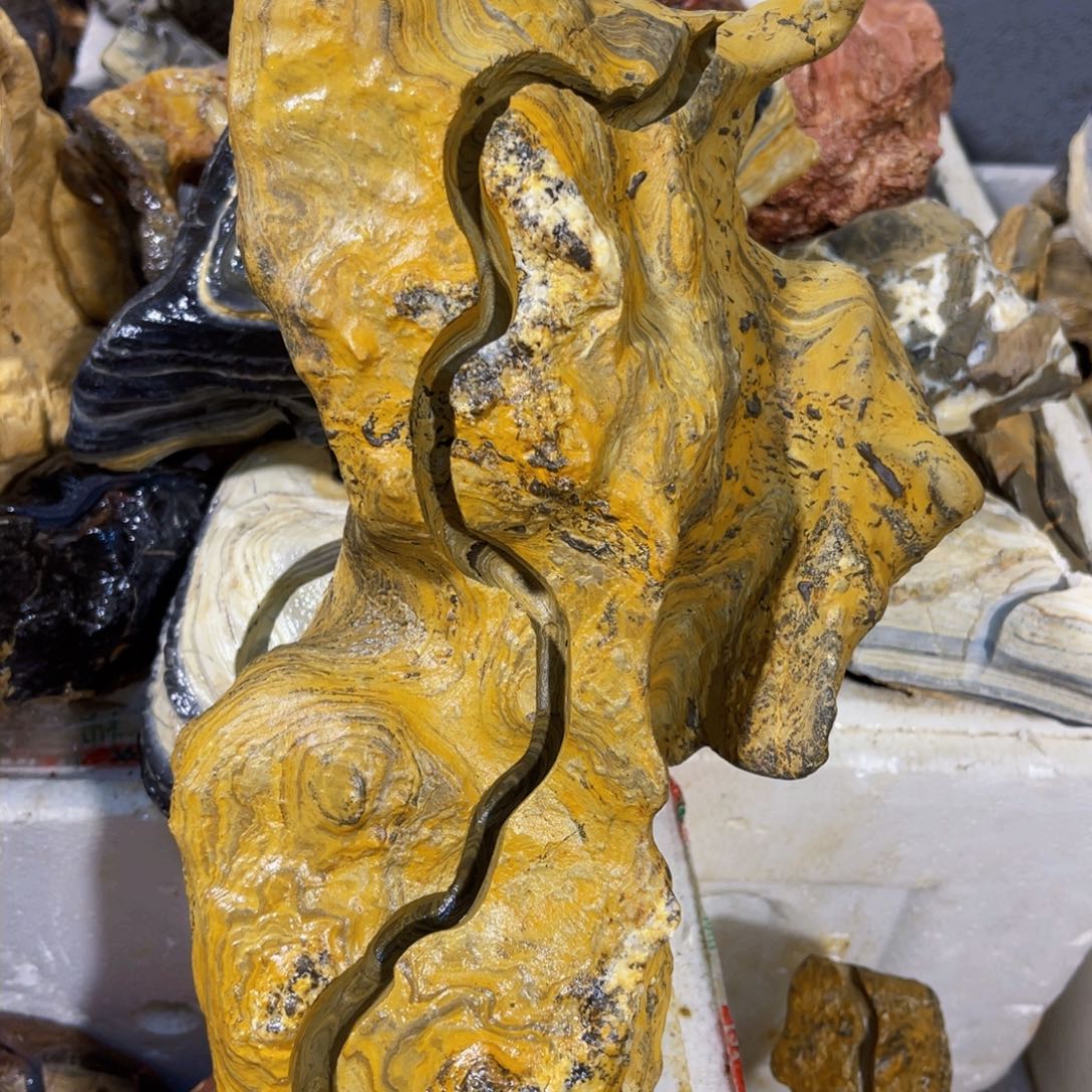 ?****牛附石盆景一物一拍