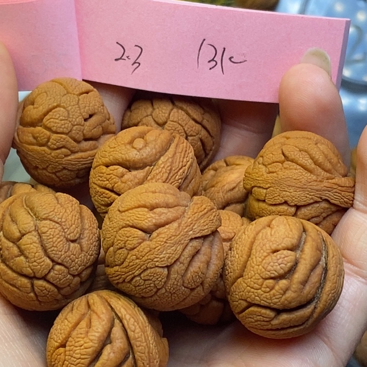 吊坠桃核秦岭龙纹桃核23尺寸