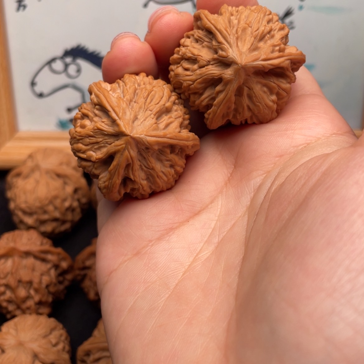 【闪购商品】文玩核桃把件35全品文山奔