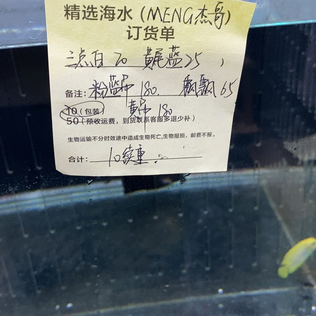 海水鱼三点白➕黄尾蓝➕粉蓝吊➕黄吊68号➕续重10