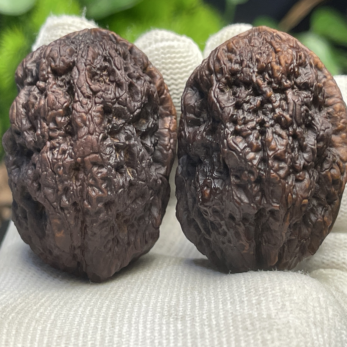 42mm金刚佛手 老滚龙纹