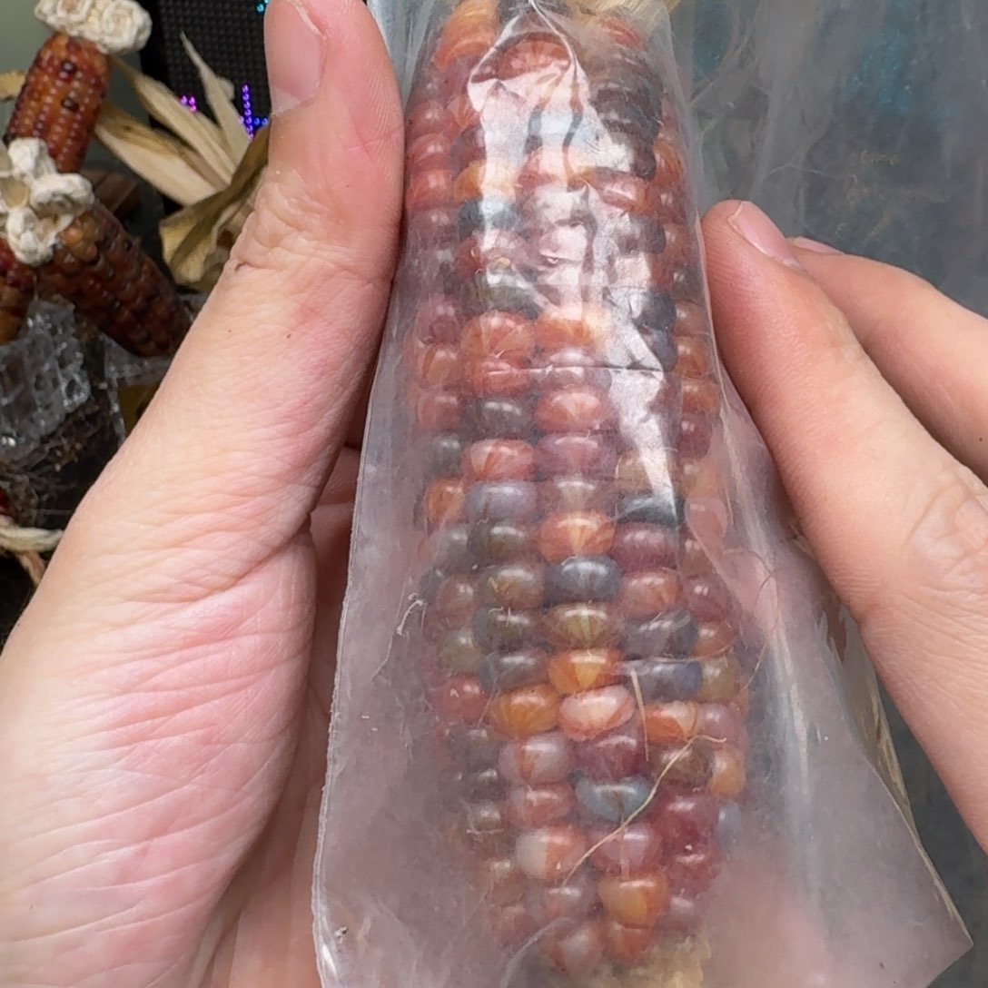 柏香籽/百香籽吊坠幽*