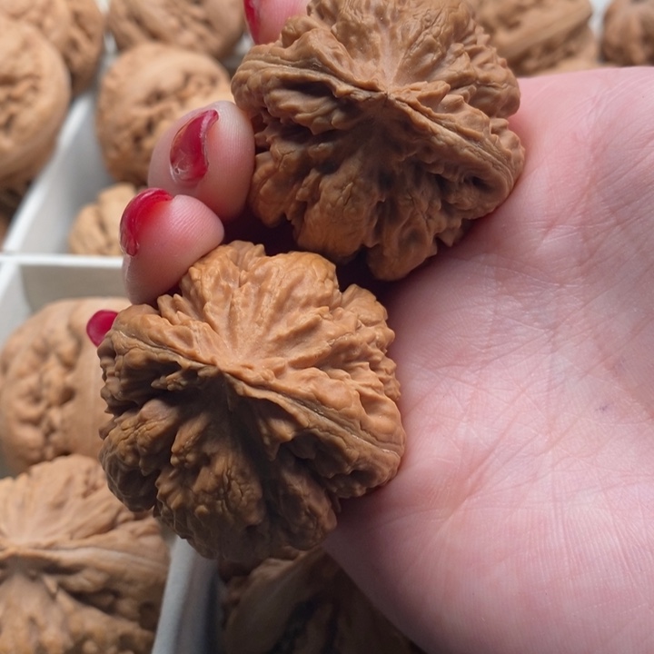 木***品霸王龙全品无修一道没动