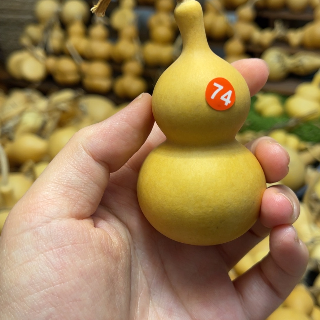 闪拍葫芦链接-74号品