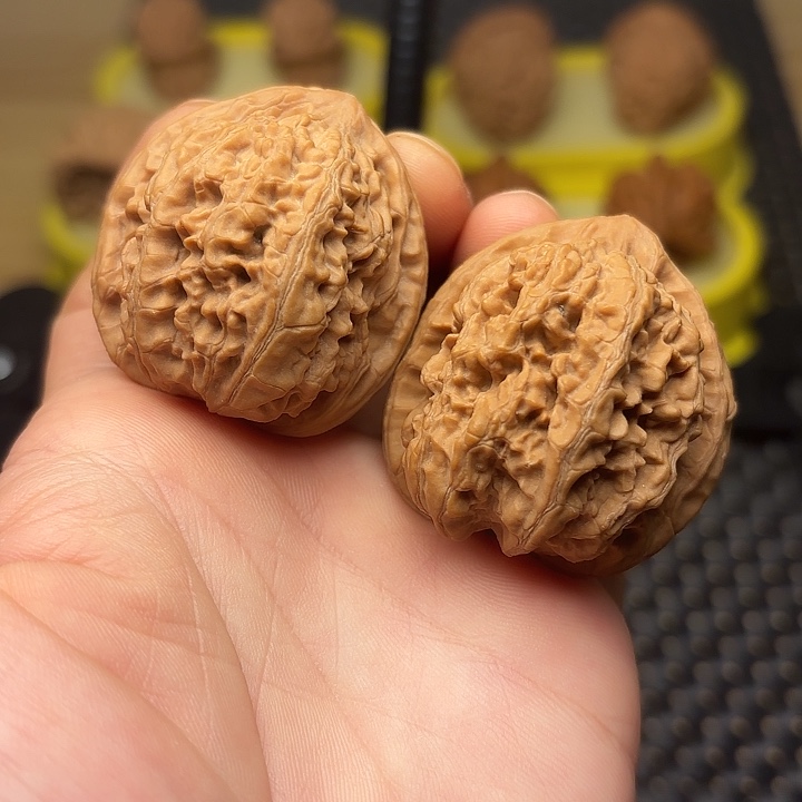 文玩核桃吊坠38全品野生小众核桃