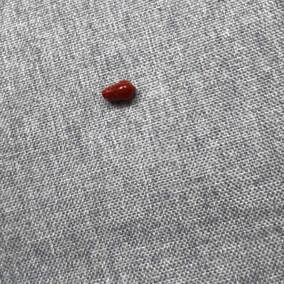 南红玛瑙颈饰合金?****?