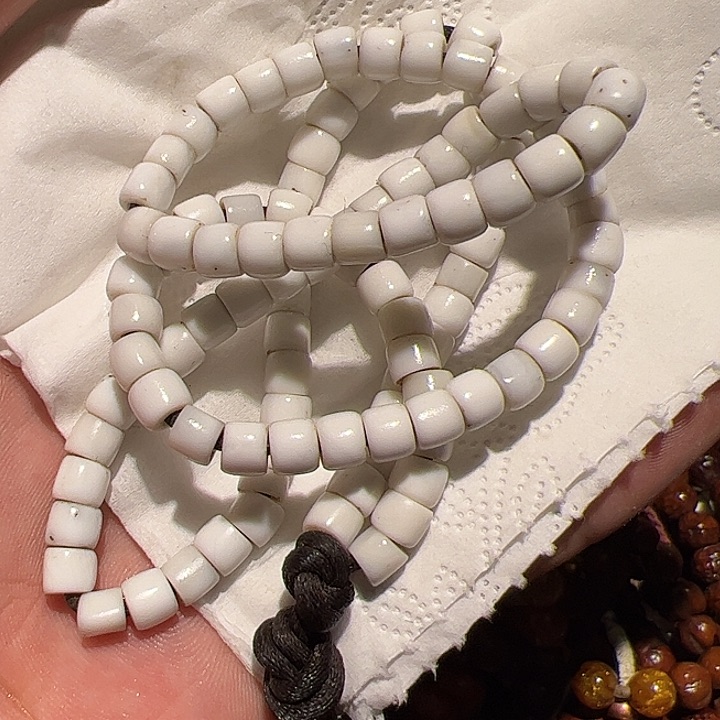 香榧木壮*壮你的时候你是