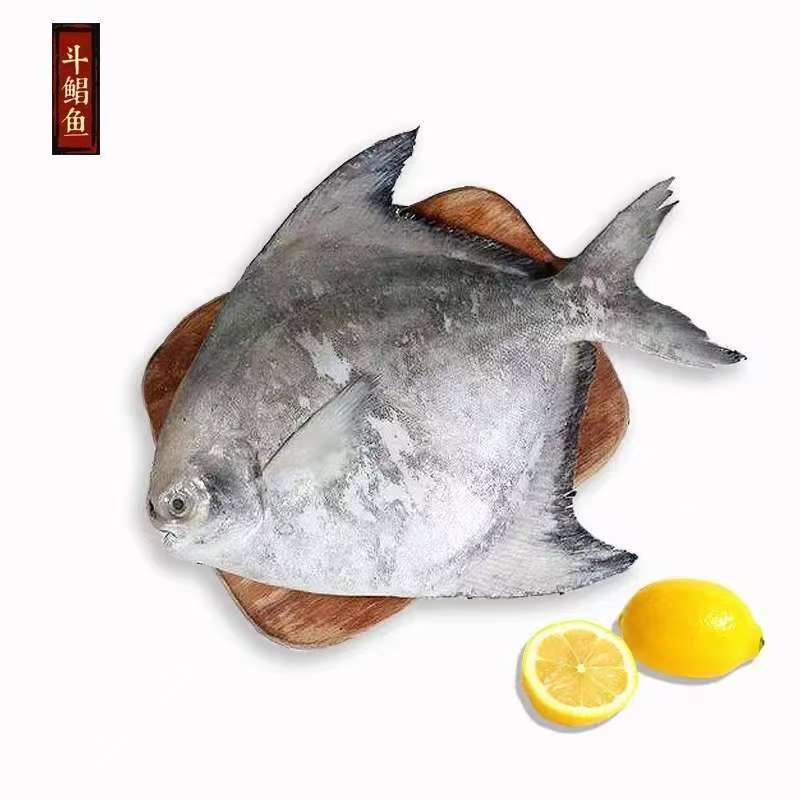 斗鲳鱼[直播现称]顺丰包邮