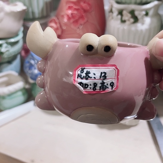 花盆11111111111111