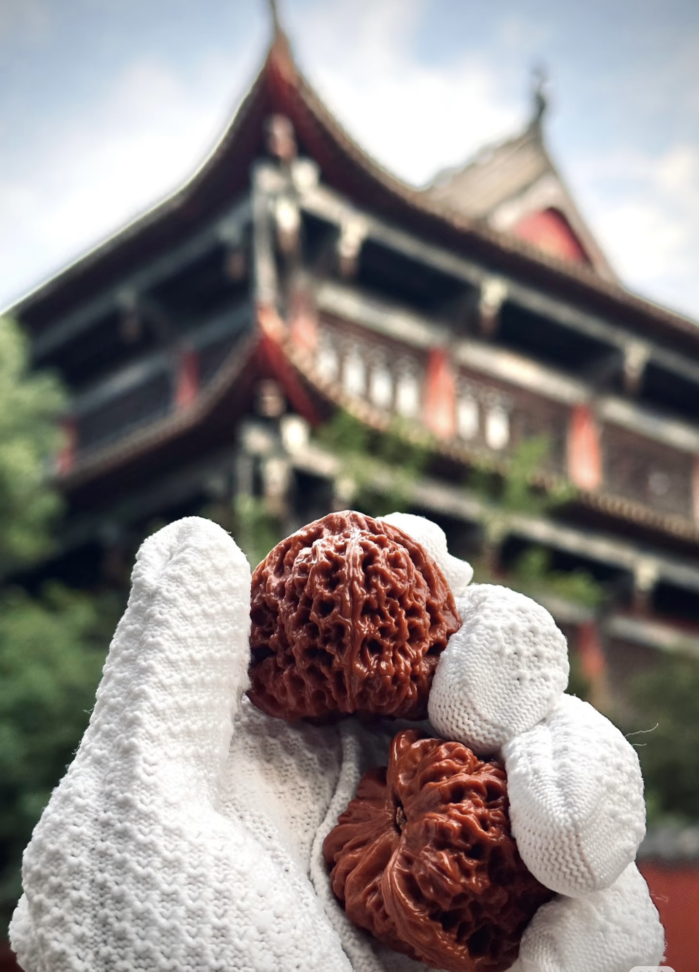 精品文玩核桃【直播间一物一拍专属链接】请勿自行下单