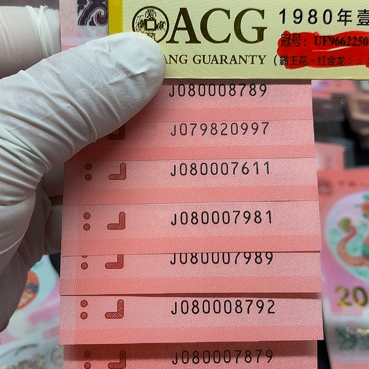 塑料8张带7                  