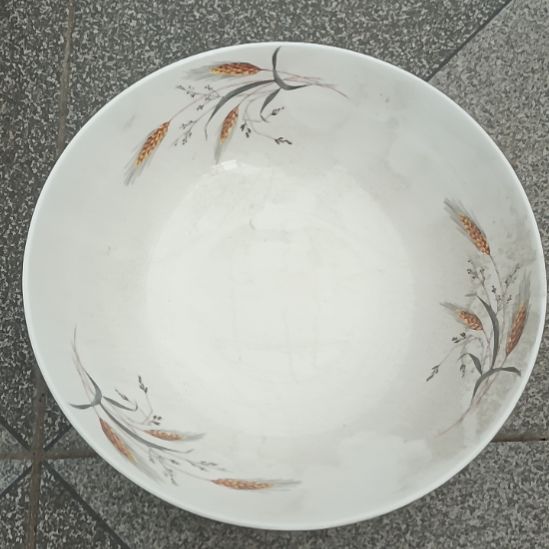 瓷片陶瓷盤子碗啥都有