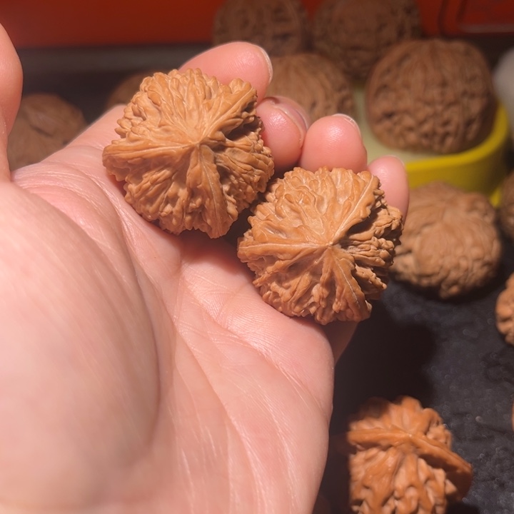 吊坠龙脊菩提三棱