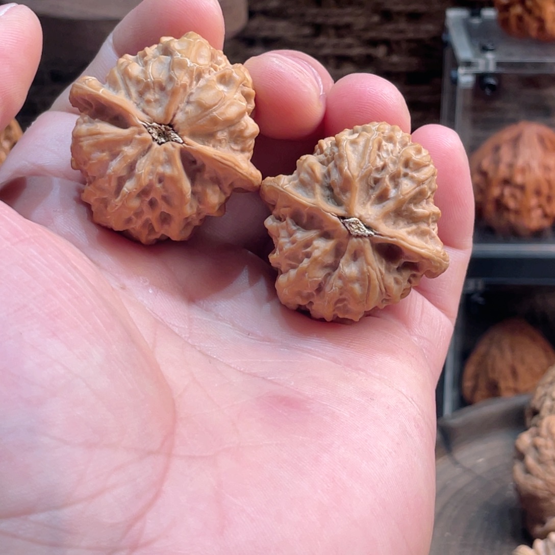 6***6文玩核桃把件36全品沈鸡