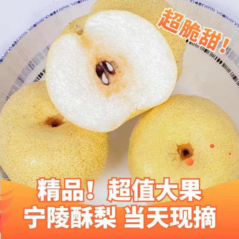2025宁陵酥梨当季新鲜水果果王脆甜多汁产地直发