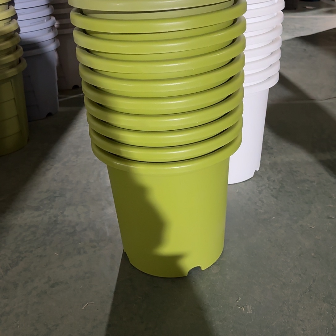 树脂微瑕8号3个无托，果绿