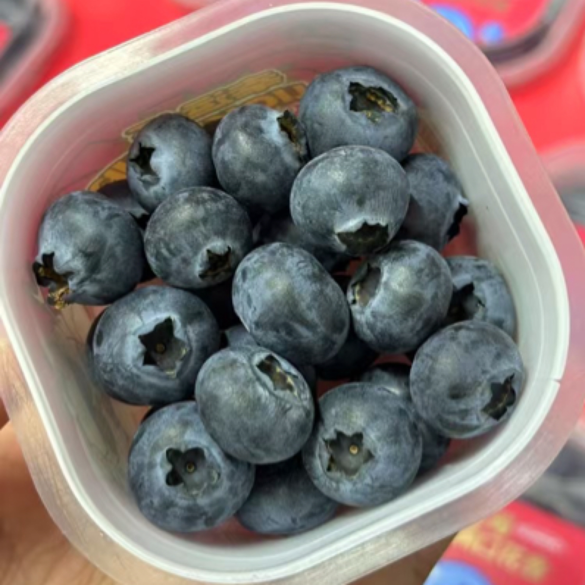 L25云南蓝莓15mm（一件12杯脆甜带花香）净重1.2斤云南水果云南水果同城送