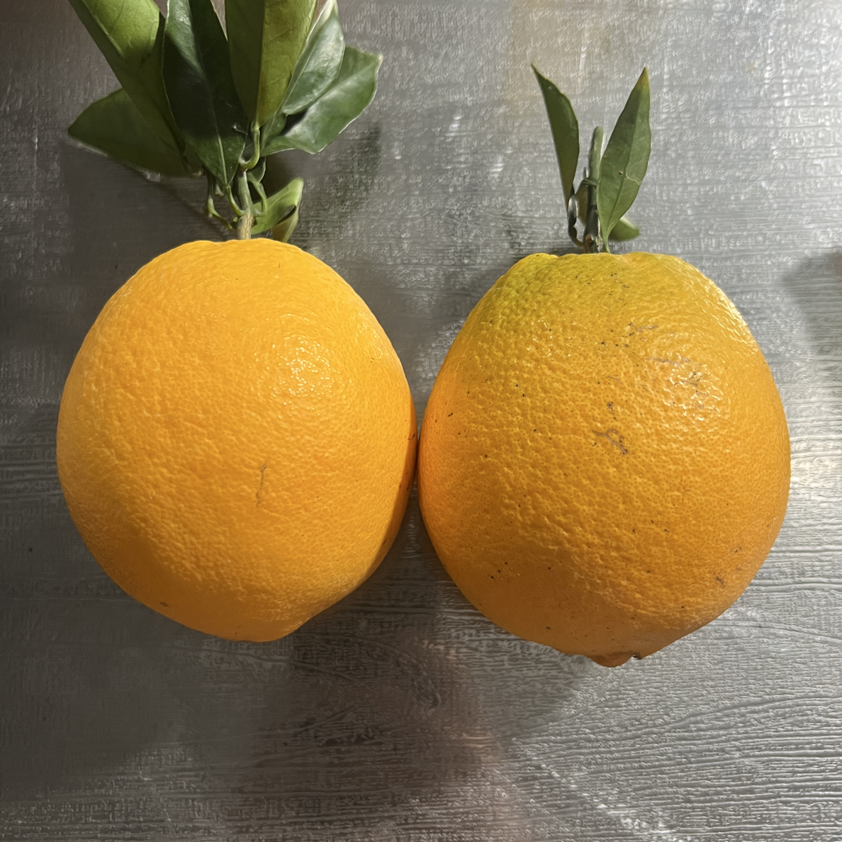 【中通】平和高山橙 不粘牙 酸度低 很适合小孩