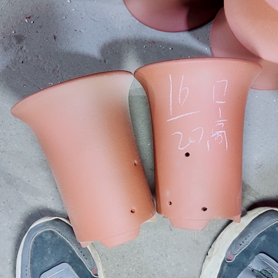 红陶紫砂紫砂z s x