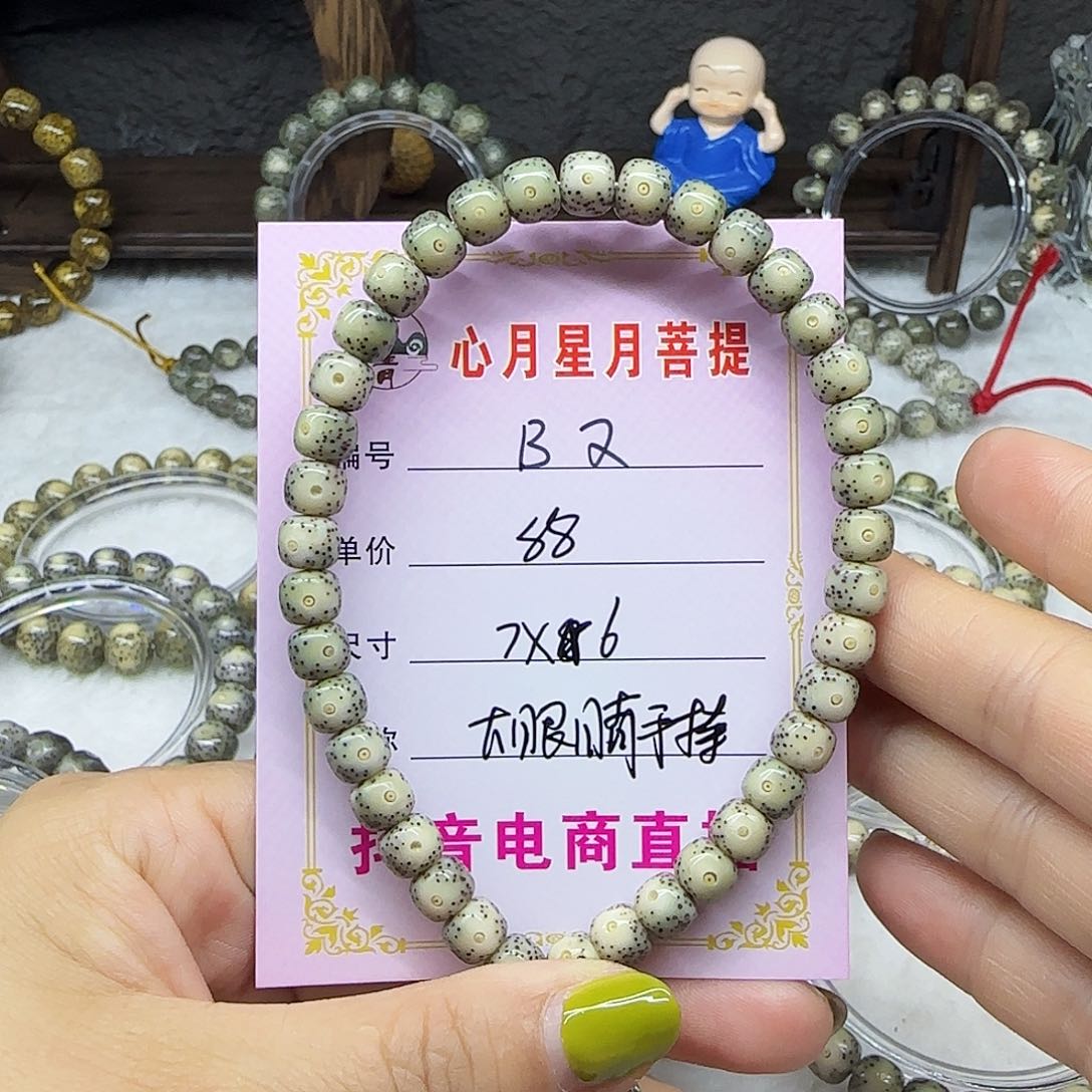 心月星月菩提一号B2