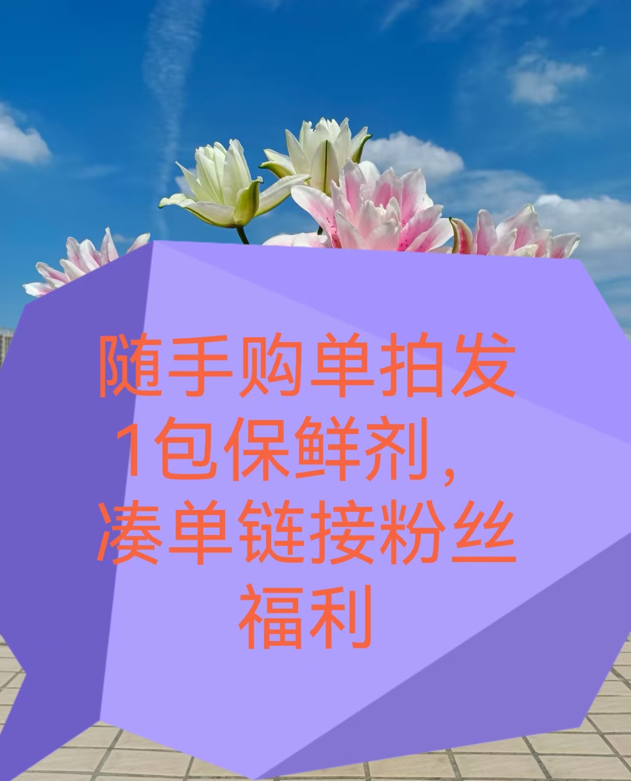 【随手购】需要凑单-单拍发保鲜剂