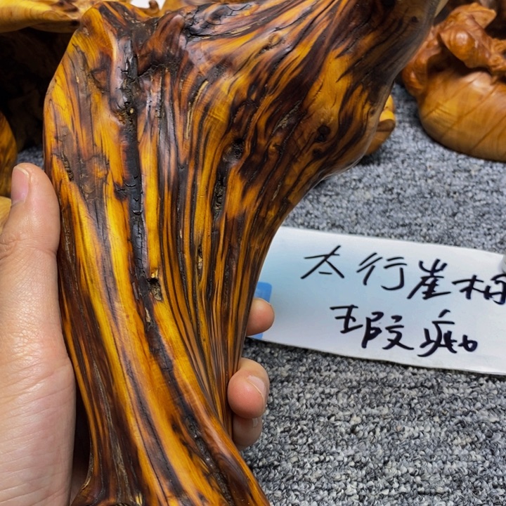 柏木（崖柏）崖柏178