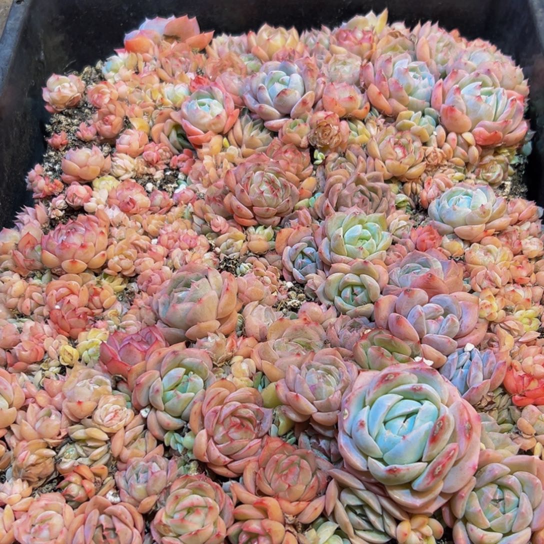096点多的点点滴滴