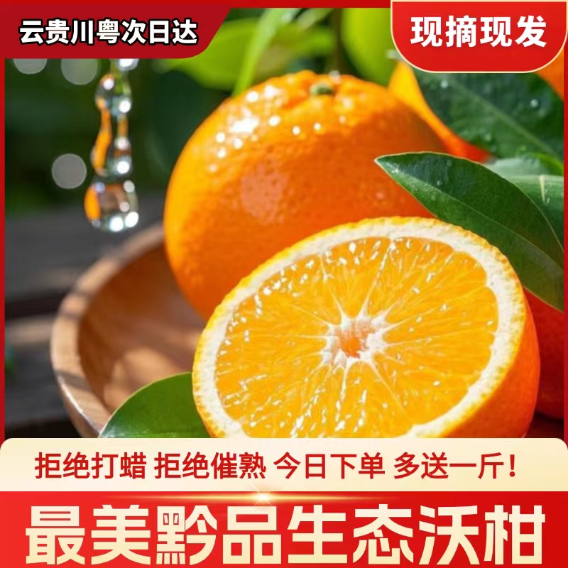 正宗沃柑 贵州六枝 当季现摘 原生态小沃柑 孕妇水果 8分甜2分酸 现摘现发 基地直发 净重8斤