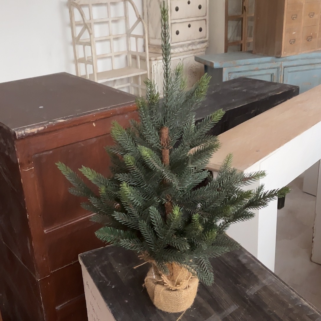 小***娴草40/60摆件摆件摆件摆件