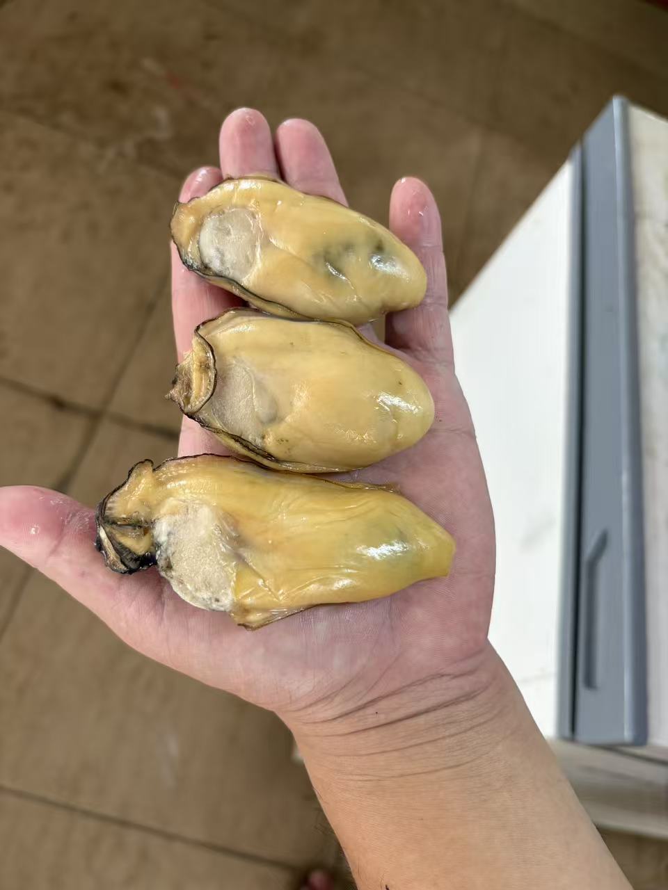 30头台山金蚝   天然生晒  6成干 绝不抽油   顺丰包邮