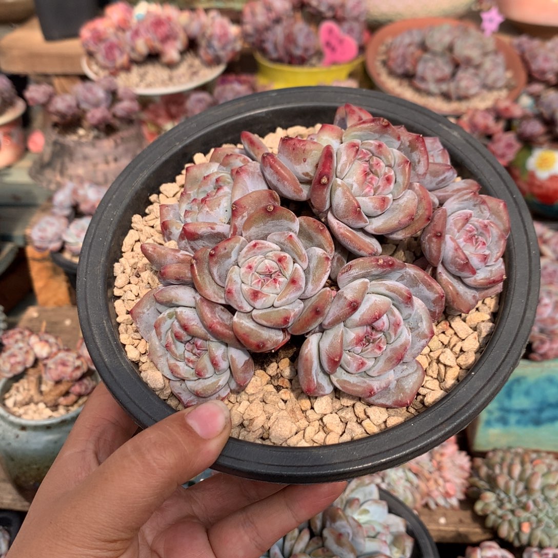 哈哈哈哈哈哈哈哈7