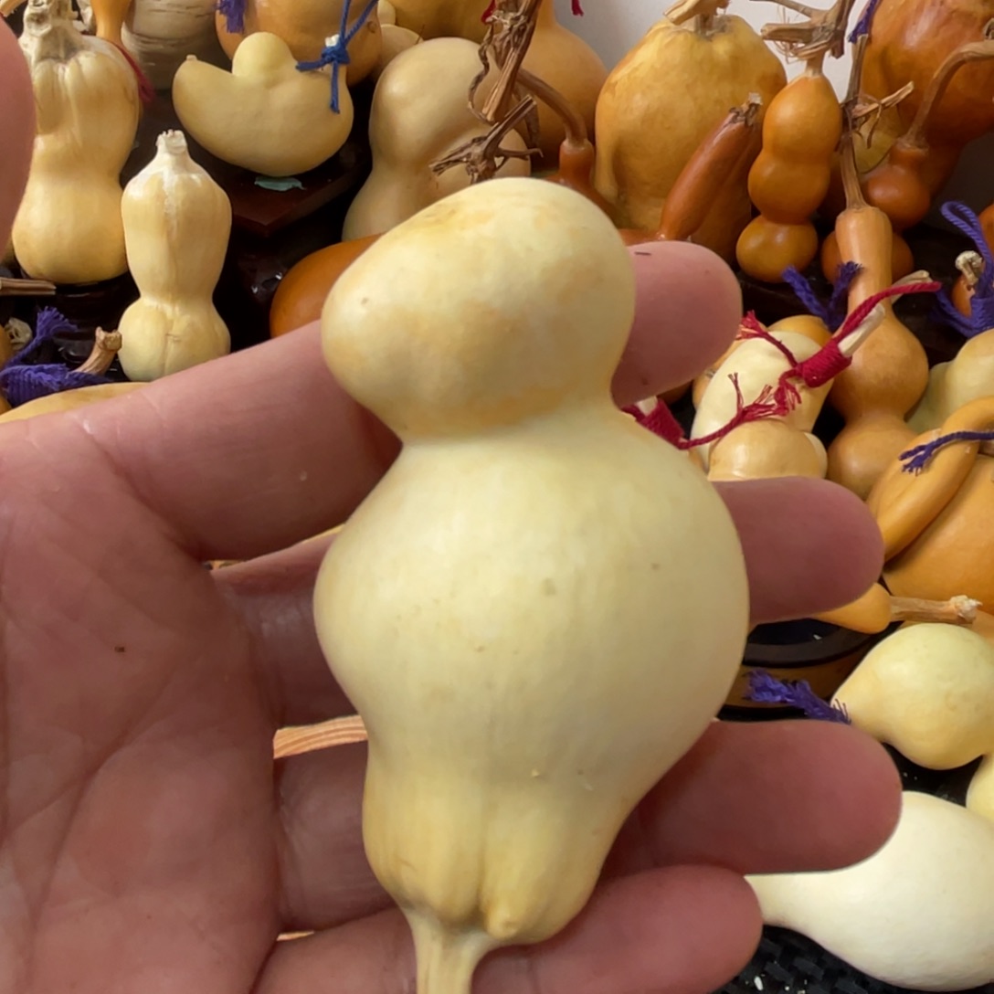 知***乐葫芦葫哈哈哈哈哈哈