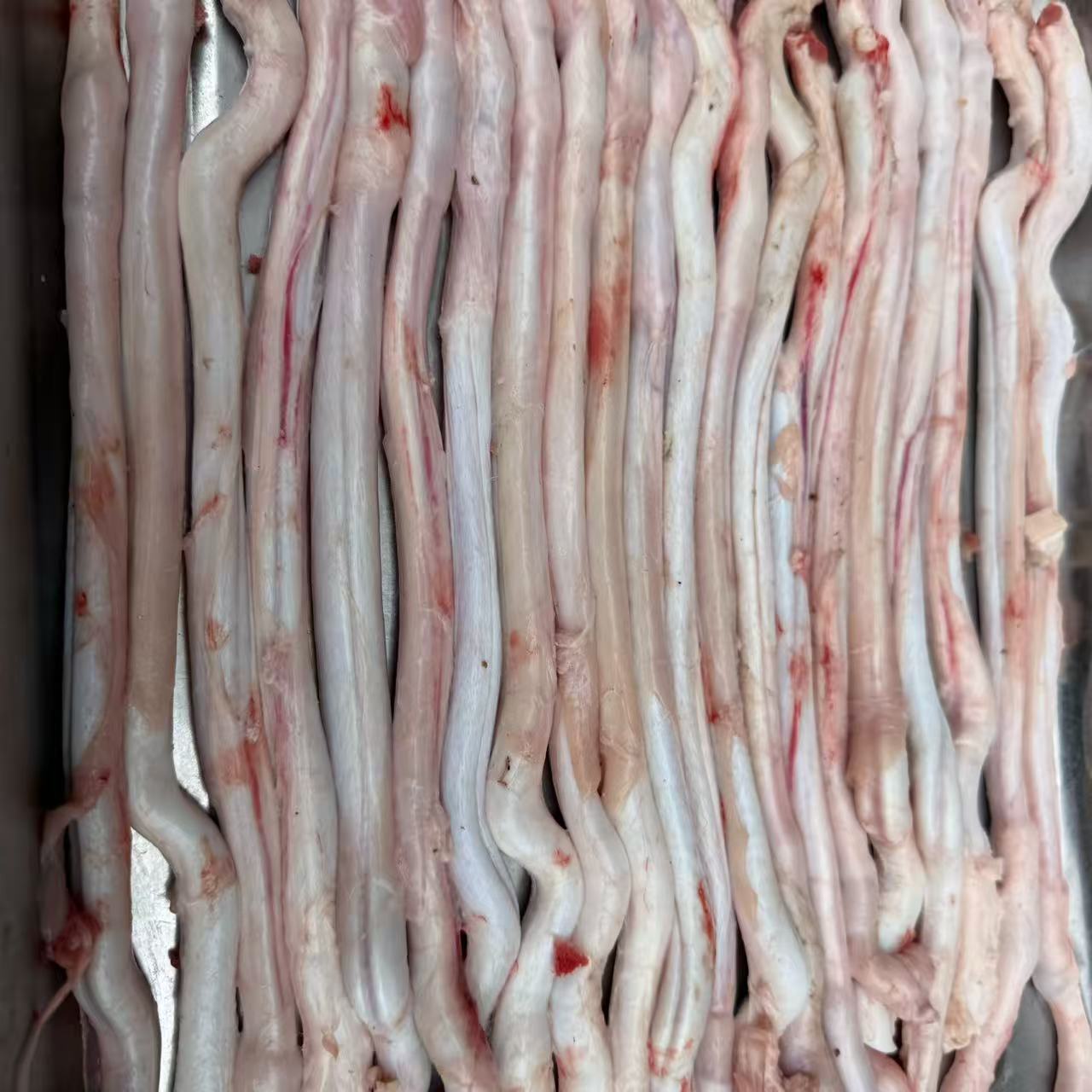 新鲜山羊鞭 烧烤  煲汤  好味道