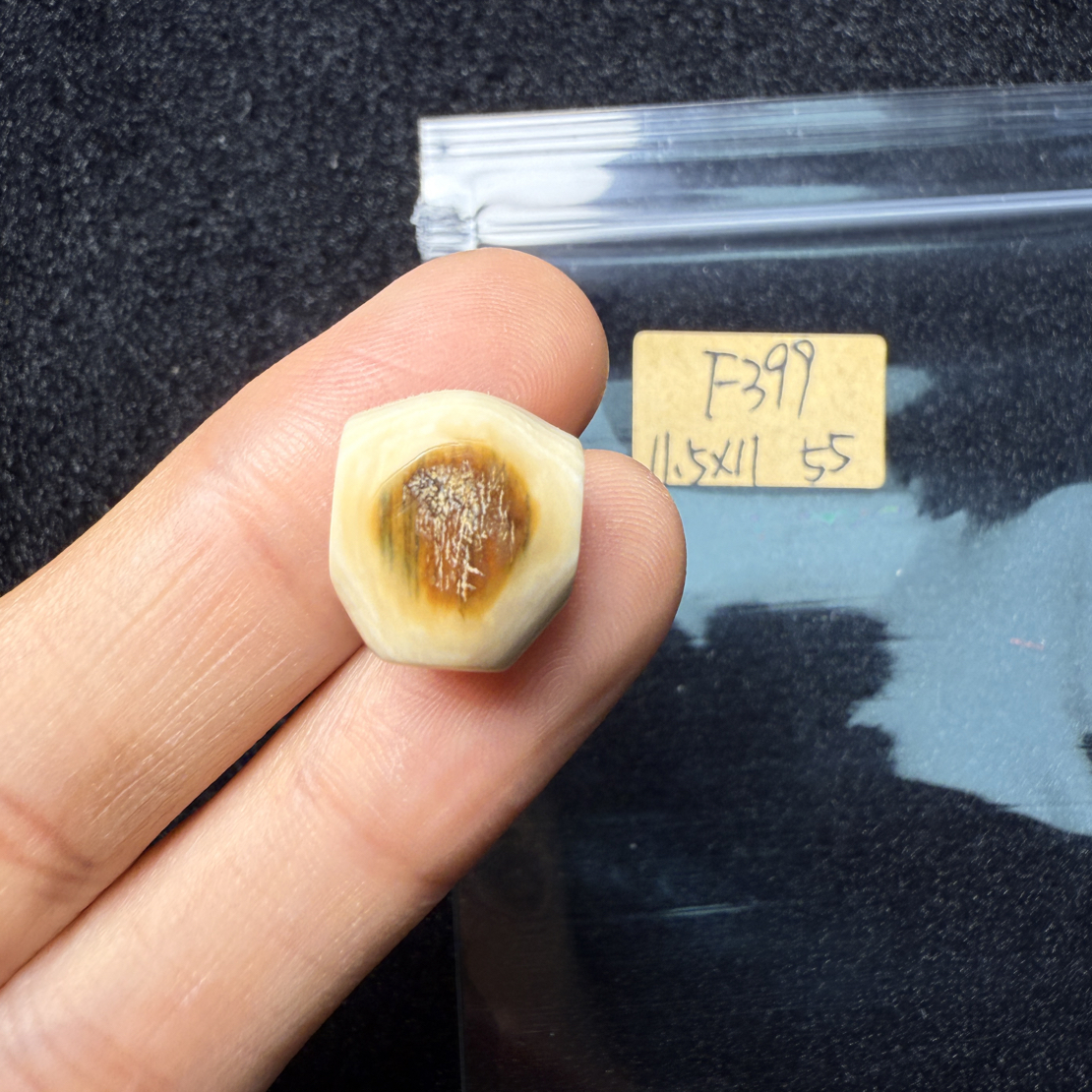 F399猛犸象牙对孔11.5*11mm鲨鱼背三通果冻料