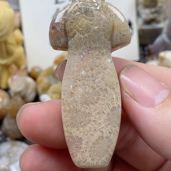 颈饰未镶嵌硅化珊瑚（珊瑚玉）