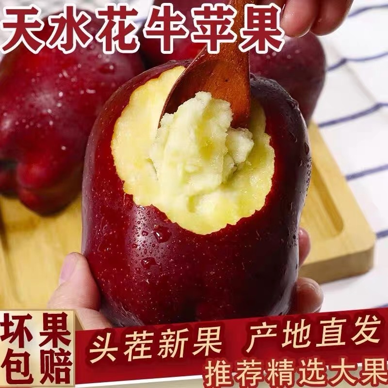 【产地直发】Z1甘肃天水花牛粉面苹果3/5/9斤带箱老人小孩辅食