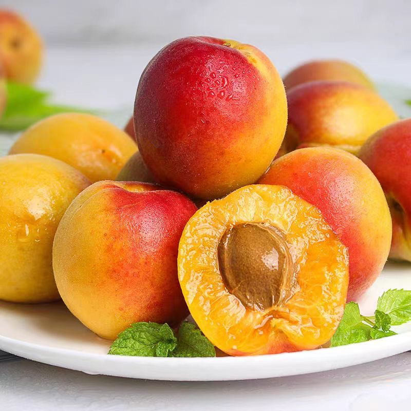 正宗陕西胭脂红杏果香浓郁净果3斤包邮到家送货上楼杏同城配送杏子同城送黑龙江省