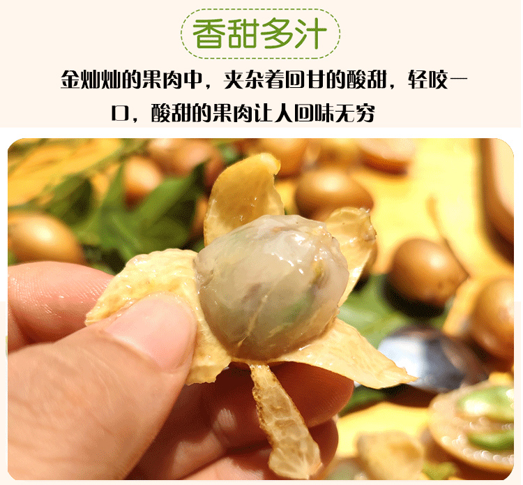 【空运冷链】2025正宗鸡心黄皮果泡酒果酒酸甜当季新鲜孕妇水果零食